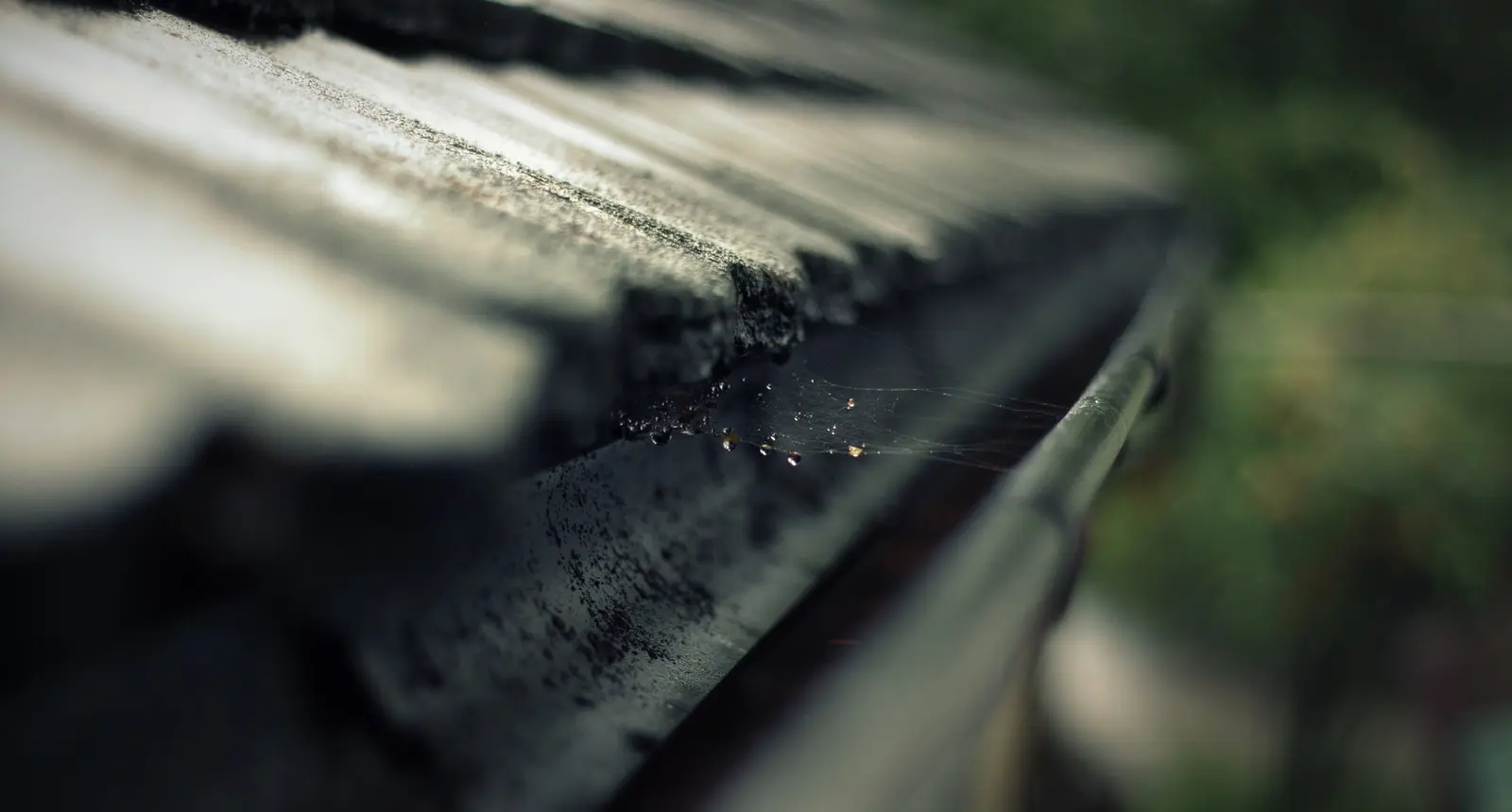 Gutter at the eaves with dirt along the edge