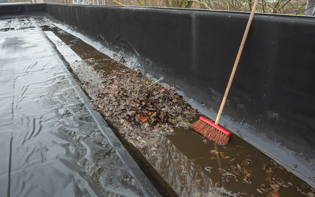 Sweeping leaves out of a flat roof gutter