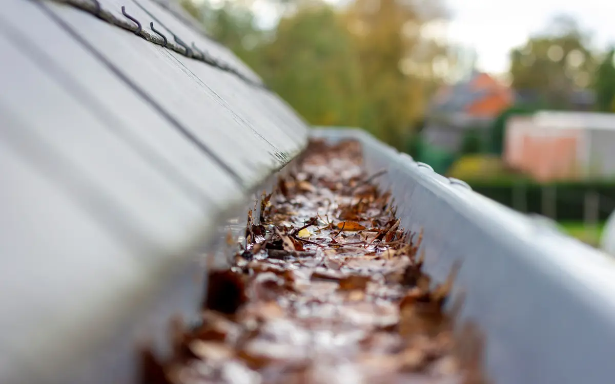 Gutter filled with fallen leaves