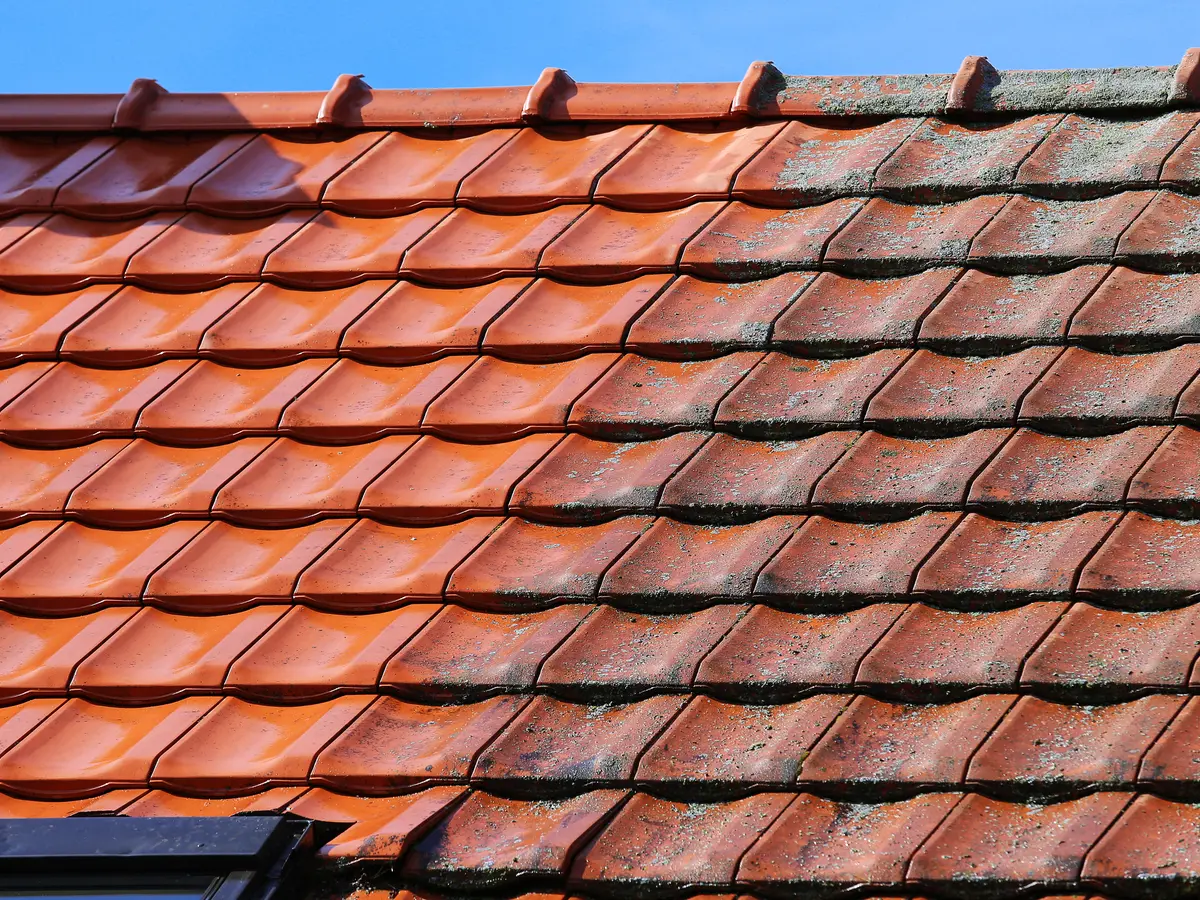 Clay tiled roof with light lichen growth